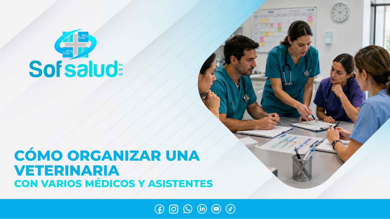 Cómo organizar una veterinaria con varios médicos y asistentes 
